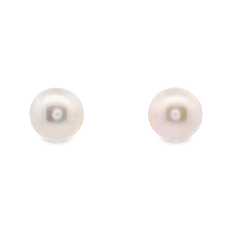 14K WG AKOYA PEARL STUD EARRINGS 7.5-8.0 MM