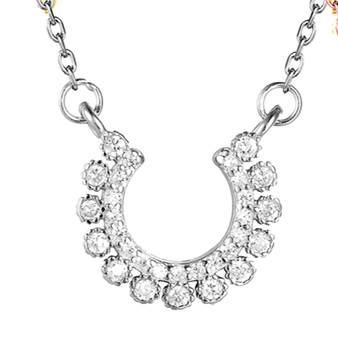 Silver Horseshoe Necklace
