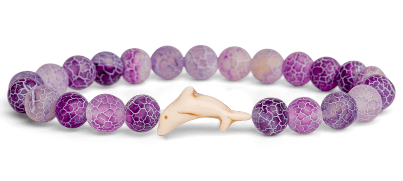 Dolphin Tracking Bracelet