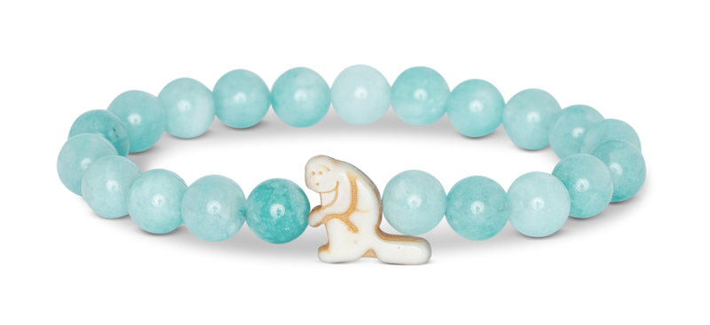 Monkey Tracking Bracelet