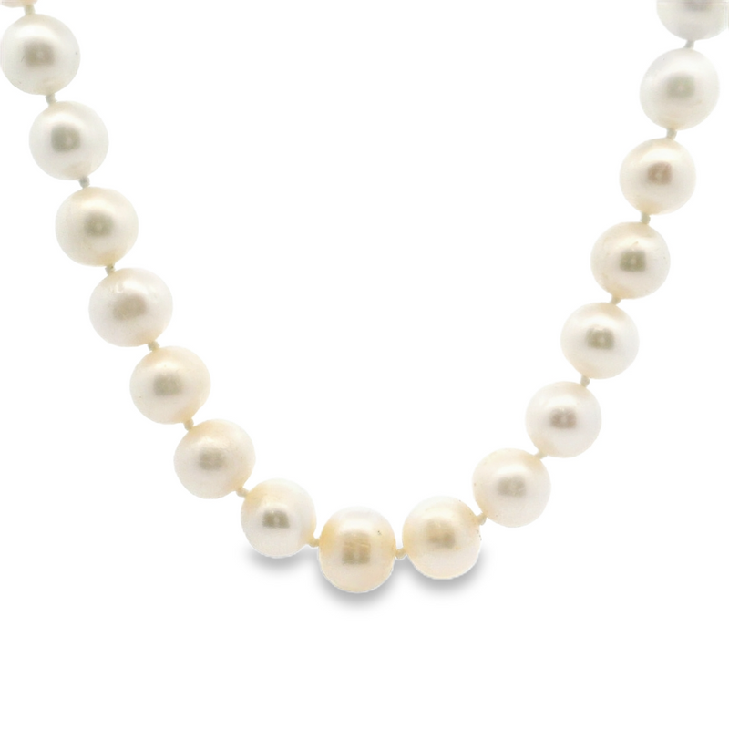 14K YG Freshwater Pearl Strand 18