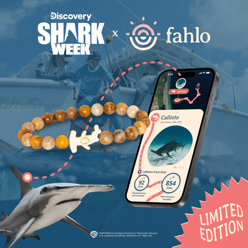 Hammerhead Shark Bracelet