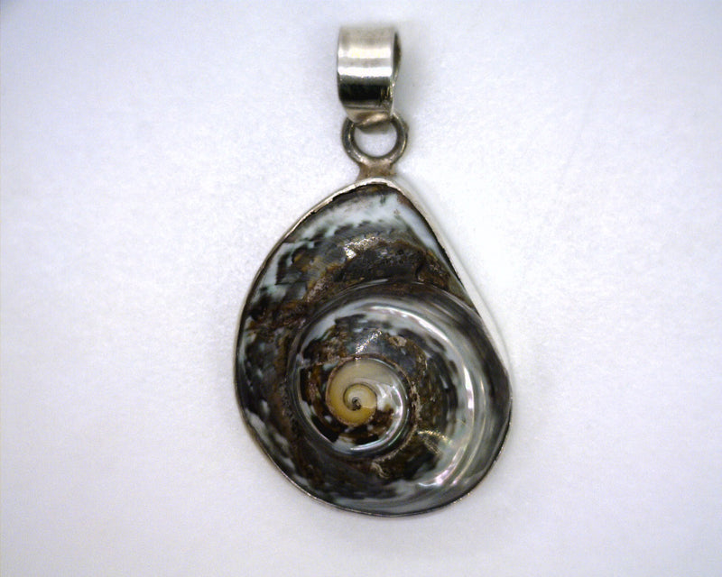 Sterling Silver Shell Pendant