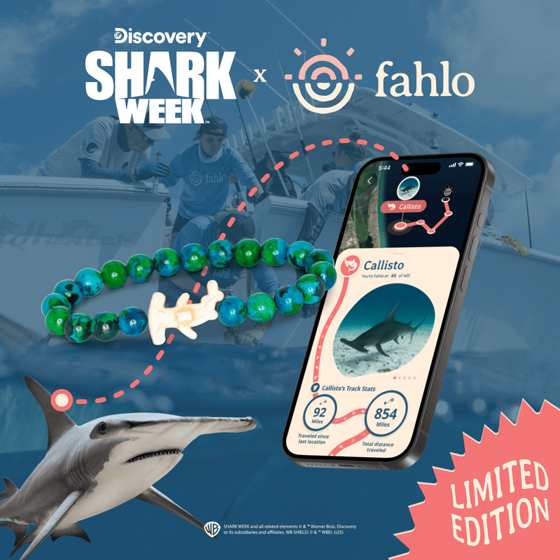 Hammerhead Shark Bracelet