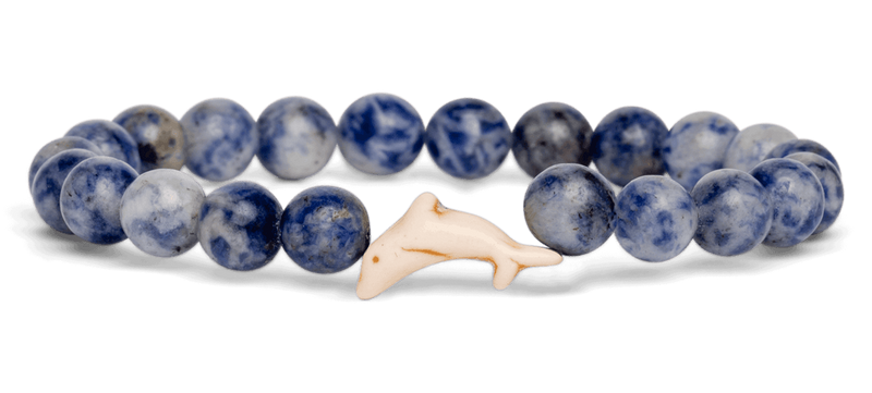 Dolphin Tracking Bracelet
