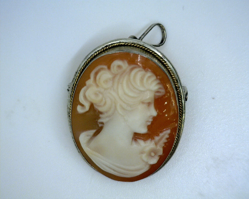 SS & 14K YG Cameo Pendant/Pin