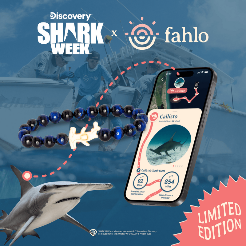Hammerhead Shark Bracelet