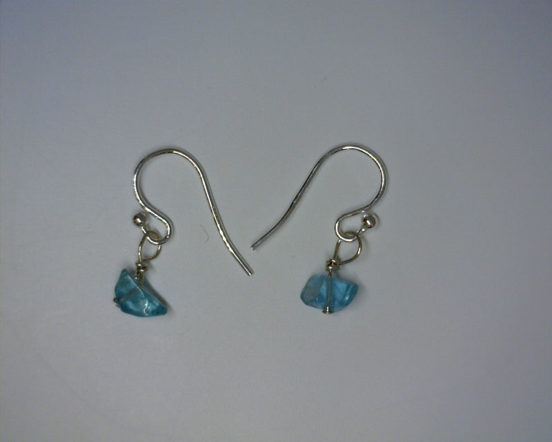 SS APPATITE EARRINGS