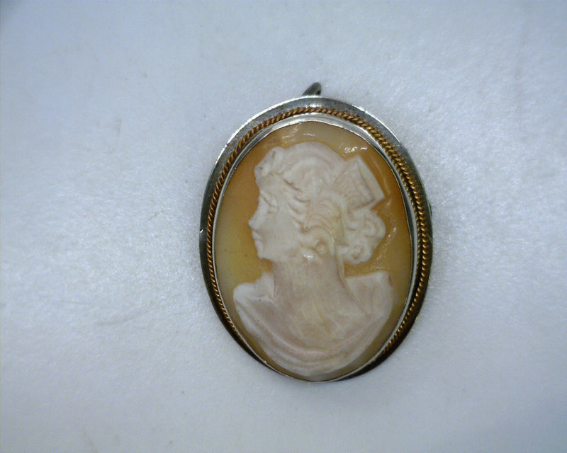 SS & 14K YG Cameo Pendant/Pin