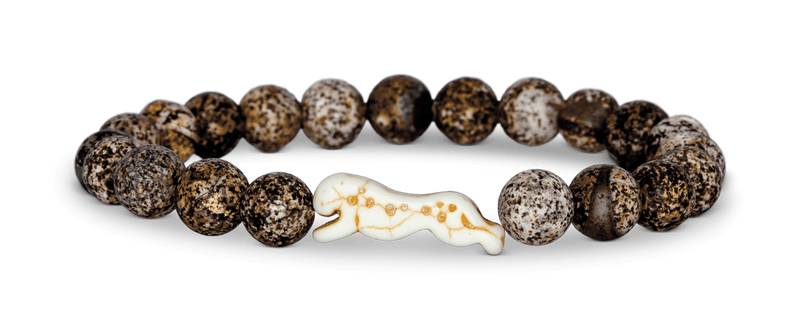 Cheetah Tracking Bracelet