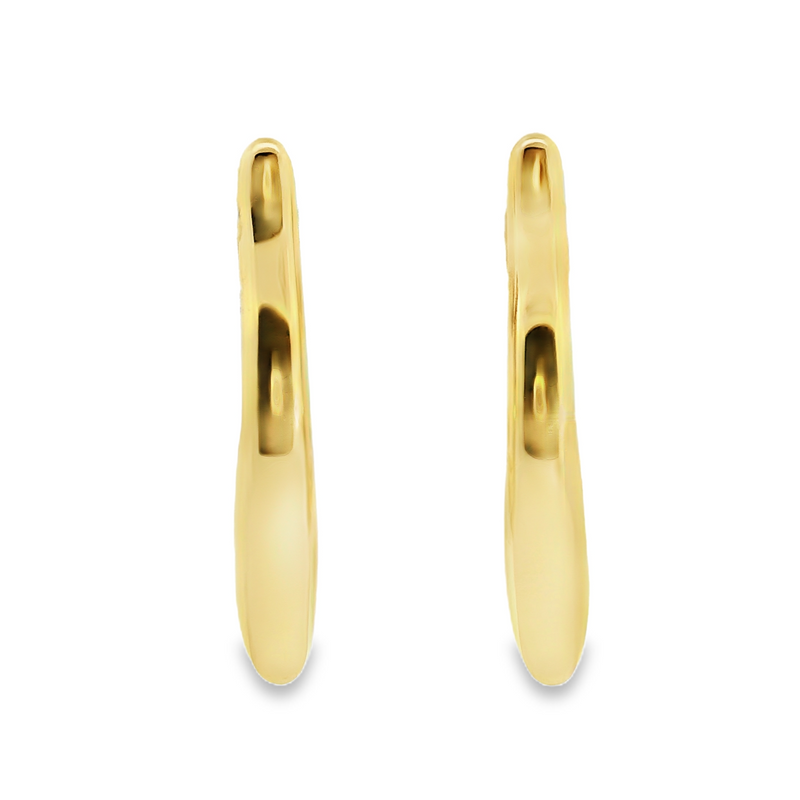 Gold Plated Earrings