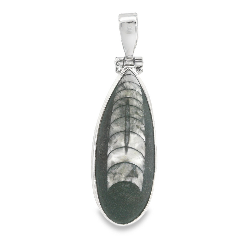 Sterling Silver Orthoceras Pendant