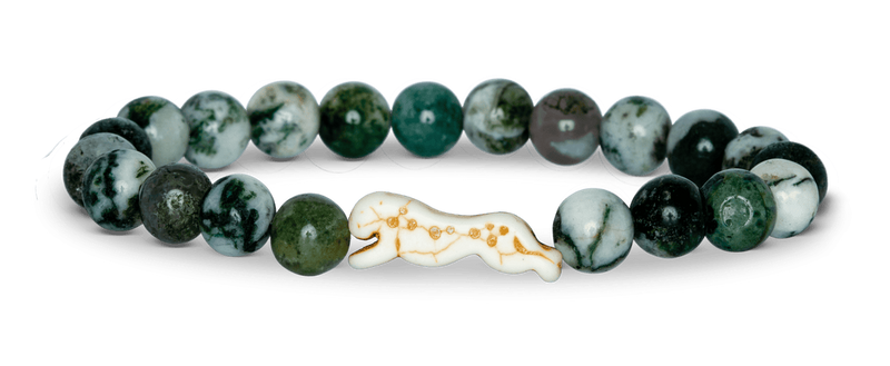 Cheetah Tracking Bracelet