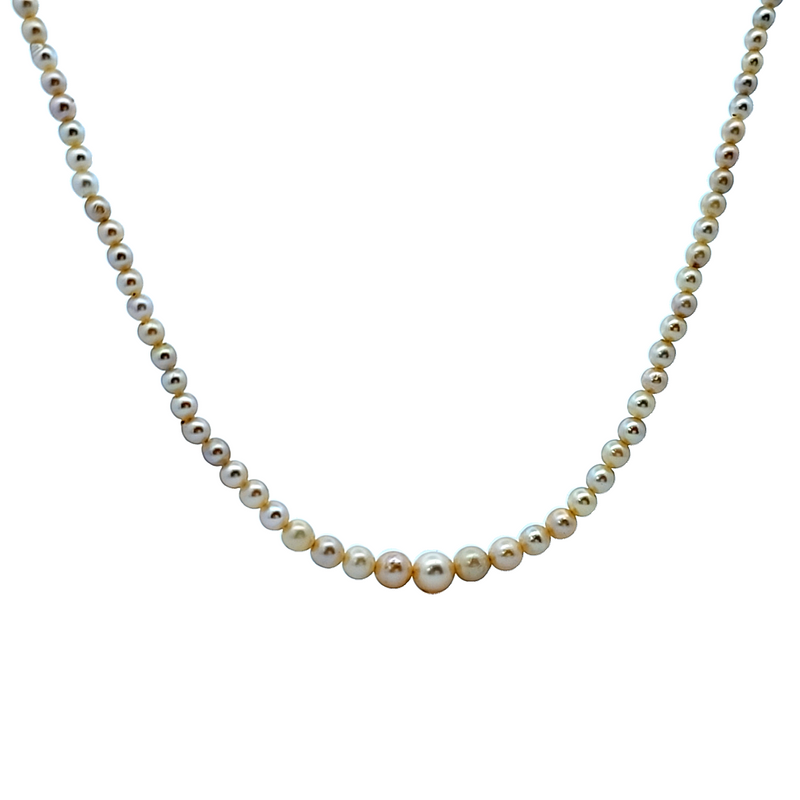 Graduated Pearl Necklace Strand