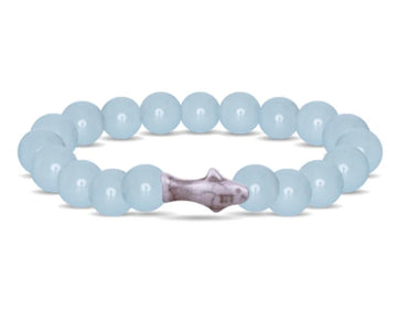 Shark Tracking Bracelet