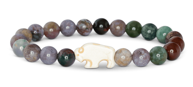 Bison Tracking Bracelet