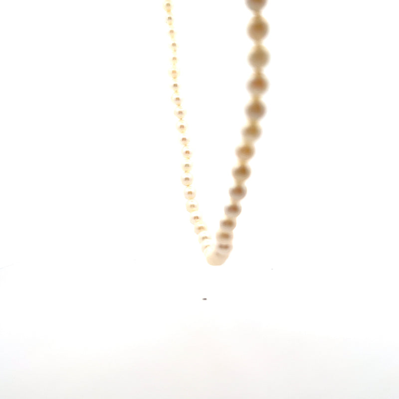 14K WG Pearl Necklace