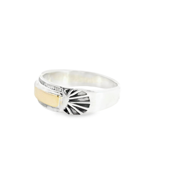 Sterling Silver & 14K YG Band