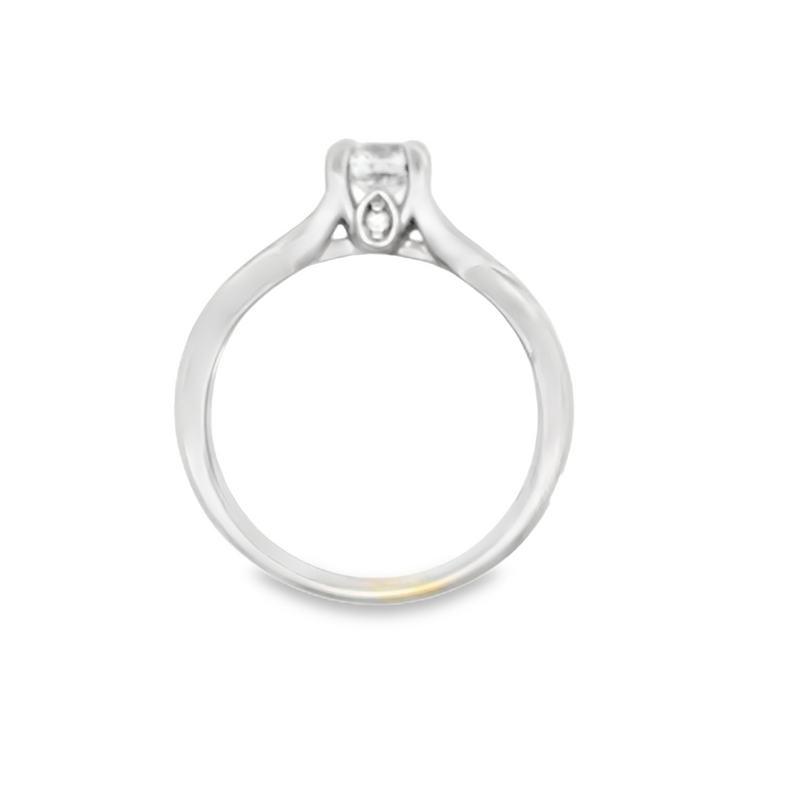 14K WG FANA CRISS CROSS