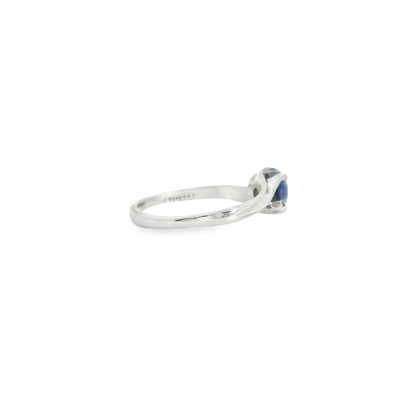 10K WG Synthetic Star Sapphire & Diamond Ring