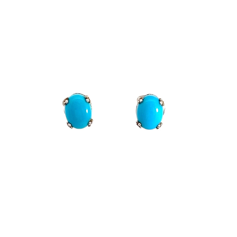 Sterling Silver Turquoise Earrings