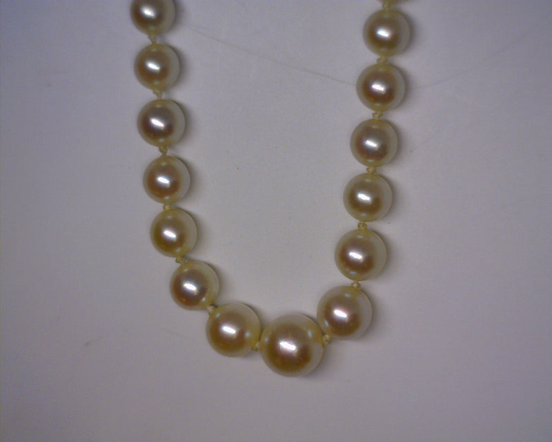 GRADUATED PEARL STRAND 18" 14K