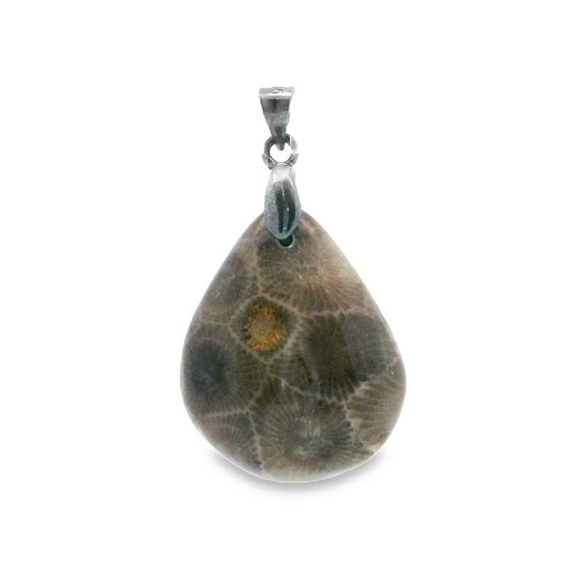 Sterling Silver Petosky Stone Pendant