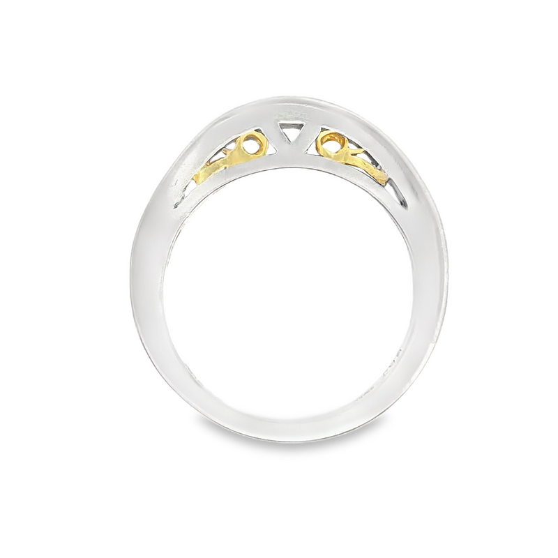 PLATINUM/18K DIAMOND BAND