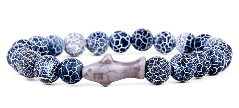 Shark Tracking Bracelet