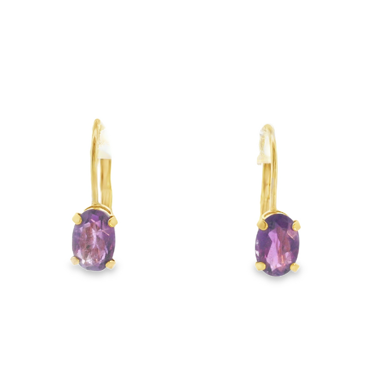 14K YG Amethyst Leverback Earrings