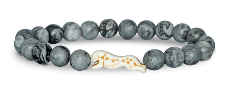 Cheetah Tracking Bracelet