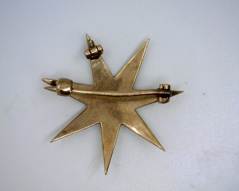 14K YG Seed Pearl Star Pin